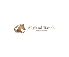 Best Horse Riding Near Seattle for Every Rider
