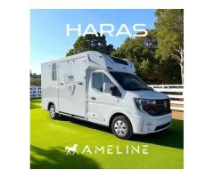 Venta Camiones Caballos 2 Plazas AML Ecostar