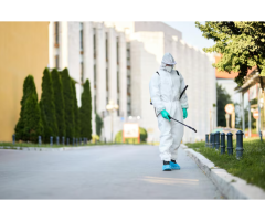 Services Professionnels de Contr le Parasitaire et Traitement des Fourmis Charpenti res GPQC