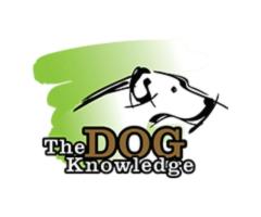 The Dog Knowledge