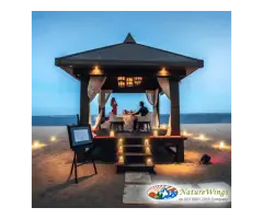 Bali Packages from Kolkata Explore Beaches, Temples & Rice Terraces - 3