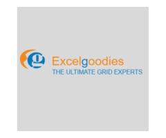 ExcelGoodies Practical Training for Better Results