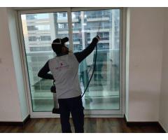 Pest Control Dubai Certified & Best Prices