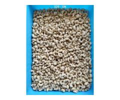 Mumbai Colaba, Mahim cashew nuts in Maharashtra India - 3