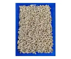 Mumbai Colaba, Mahim cashew nuts in Maharashtra India - 4
