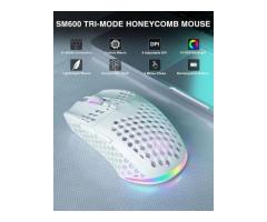 Upgrade Your Gaming Setup with RGB Keyboard and Mouse Essentials