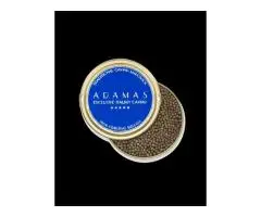 Buy Premium Beluga Sturgeon Caviar Authentic Beluga Fish Caviar in UAE