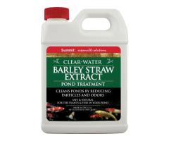 Create a Beautiful Aquarium Setup with Premium Aquatic Supplies for Your Fish - 2
