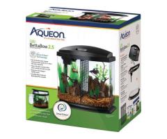 Create a Beautiful Aquarium Setup with Premium Aquatic Supplies for Your Fish - 4