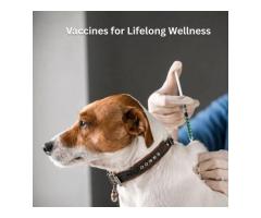 Pet Vaccinations for Lifelong Health Protection