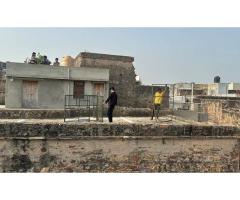 Bandar Ki Samasya Raja Park Mein Aaj Ka Successful Case - 5