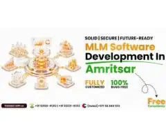 MLM Software Development Company in Amritsar