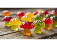 Organic Mushroom Gummies