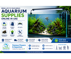 Live Fish, Aquarium Plants & Aquascaping Materials Dubai