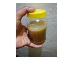 Raw Forest Honey | EVEREST Honey | 6379314443 - 2