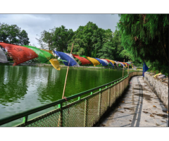 Experience the Historic Himalayan Trail with Silk Route Tour Packages - 5
