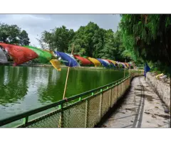 Experience the Historic Himalayan Trail with Silk Route Tour Packages - 5