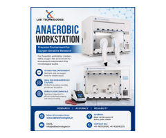 Buy Reliable Anaerobic Workstation Supplier Lab Technologies