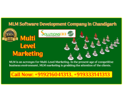 MLM Software Development Company in Chandigarh