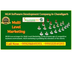 MLM Software Development Company in Chandigarh