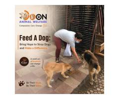 Bring Hope to Stray Dogs and Make a Difference