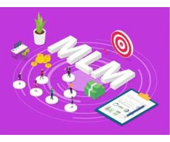 Trusted MLM Software Development Company in Delhi- Solutions - 2