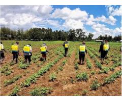 Smarter Spraying Support in Kenya for Everyday Crop Care