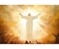 Bible Insights Daily Scripture Readings & Biblical Wisdom