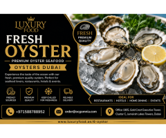 Fresh Oyster Oyster Seafood Oysters Dubai