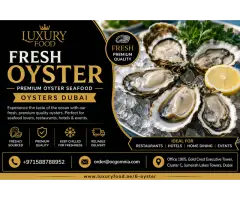 Fresh Oyster Oyster Seafood Oysters Dubai