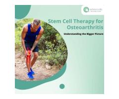 Stem Cell Therapy for Osteoarthritis Understanding the Bigger Picture