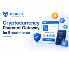 Secure Digital Currency Payments for E-commerce