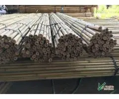 Custom size bamboo cane supplier - Vantidebamboo