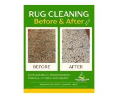 Best Carpet Cleaning Services in North Brisbane