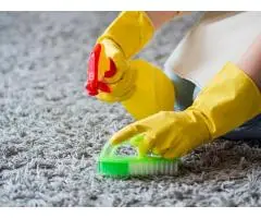 Carpet Cleaning Services Noida for Fresh and Clean Carpets