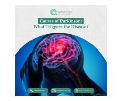 Causes of Parkinson What Triggers the Disease