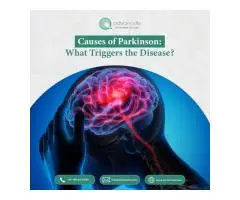 Causes of Parkinson What Triggers the Disease