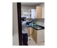 Top 10 Listed Pest Control Summer Deals - 4