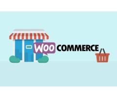 Turn Your Ecommerce Idea into a Powerful WooCommerce Store