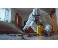 Bed Bug & Carpenter Ant Treatment Services