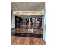 Cradle of Humankind Half Day Tour in Johannesburg