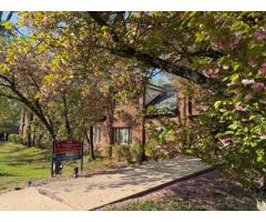 Professional Telehealth Therapy in Princeton Offering Convenient Mental Health Support