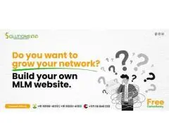 MLM Software Development Company in Haryana
