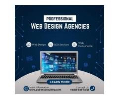 Professional Web Design Agencies in the USA