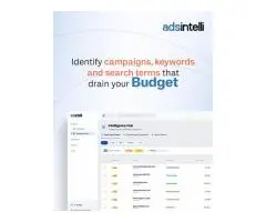 Adsintelli Ad Budget Optimisation Using AI-Powered Google Ads Intelligence