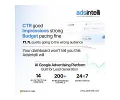 Adsintelli Ad Budget Optimisation Using AI-Powered Google Ads Intelligence - 3