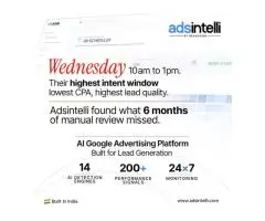 Adsintelli Ad Budget Optimisation Using AI-Powered Google Ads Intelligence - 4