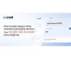 Adsintelli Ad Spend Optimisation Backed by Daily Google Ads Intelligence