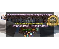 MLM Software Development Company in Punjab