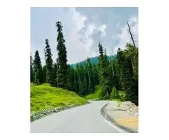 Kashmir Tour Package from Srinagar 6N/7D - 5